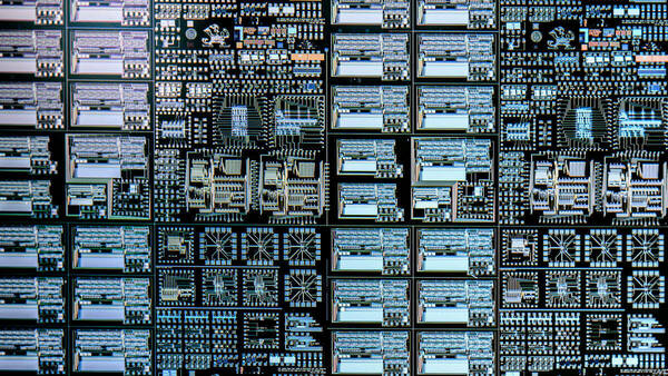 Notre Dame Microchip